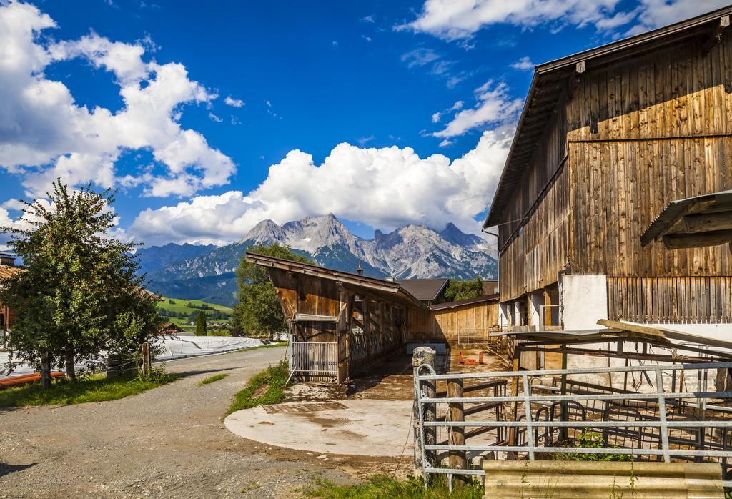 Ferienwohnung Örgenbauer Saalfelden Exterior foto